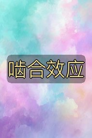 啮合效应封面